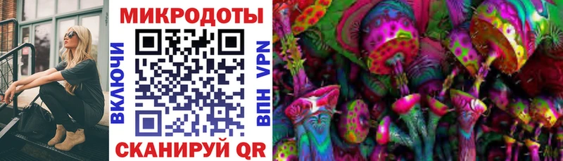 Галлюциногенные грибы мицелий  Ленинградская 